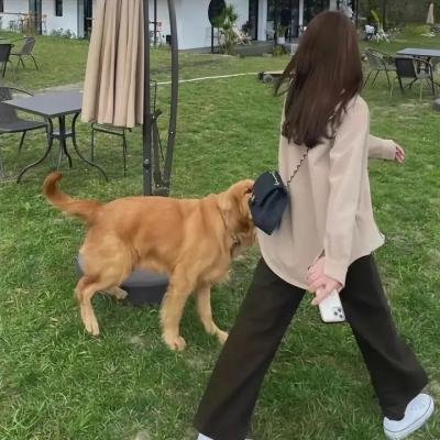 延禧攻略番外篇之金枝玉叶